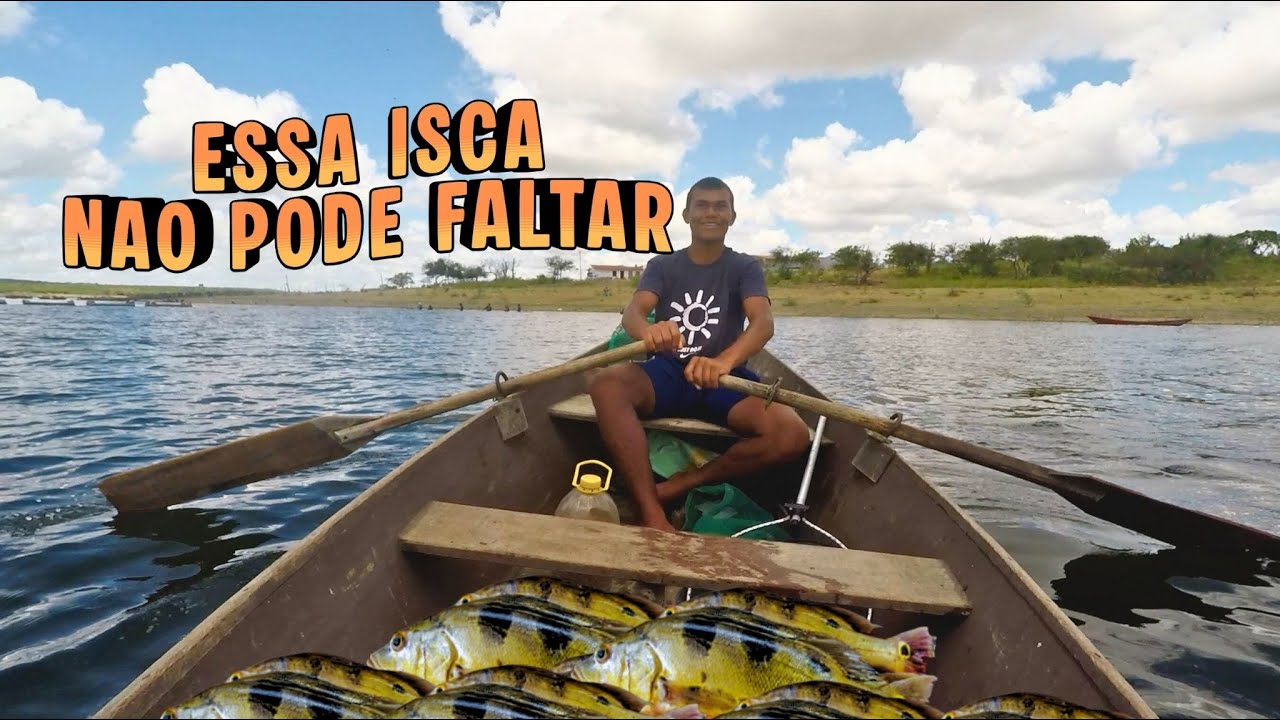 TODO PESCADOR DE TUCUNARÉ PRECISA DESSA ISCA!