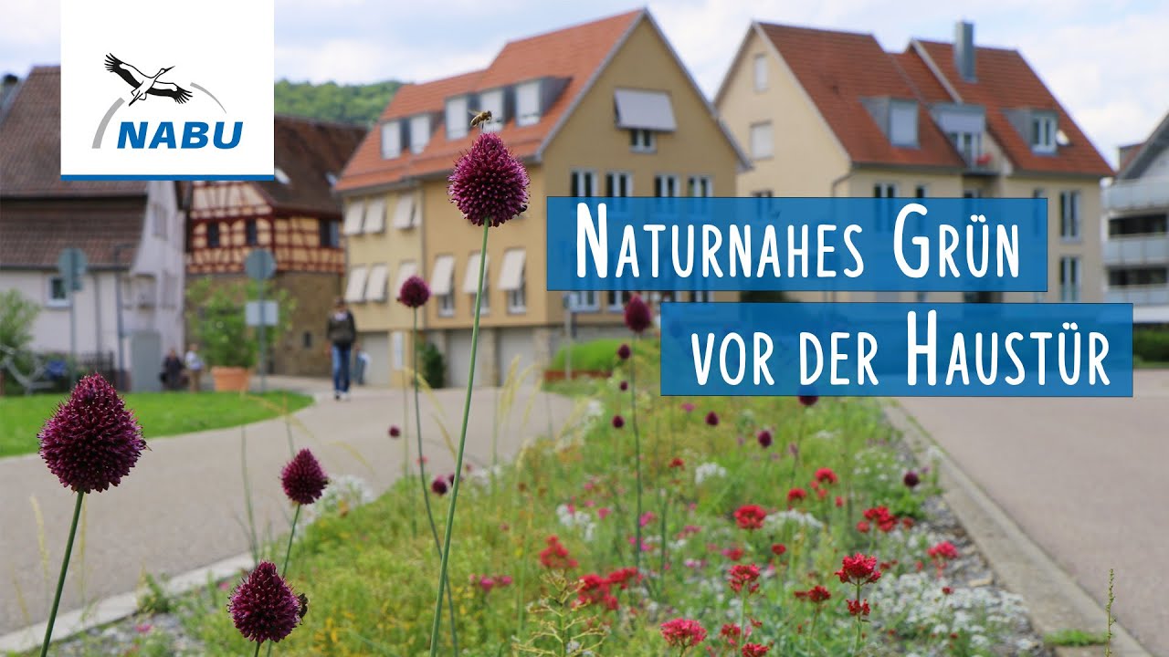 Artenvielfalt vor der Haustür | NABU-Vortrag mit Tipps für den Privatgarten
