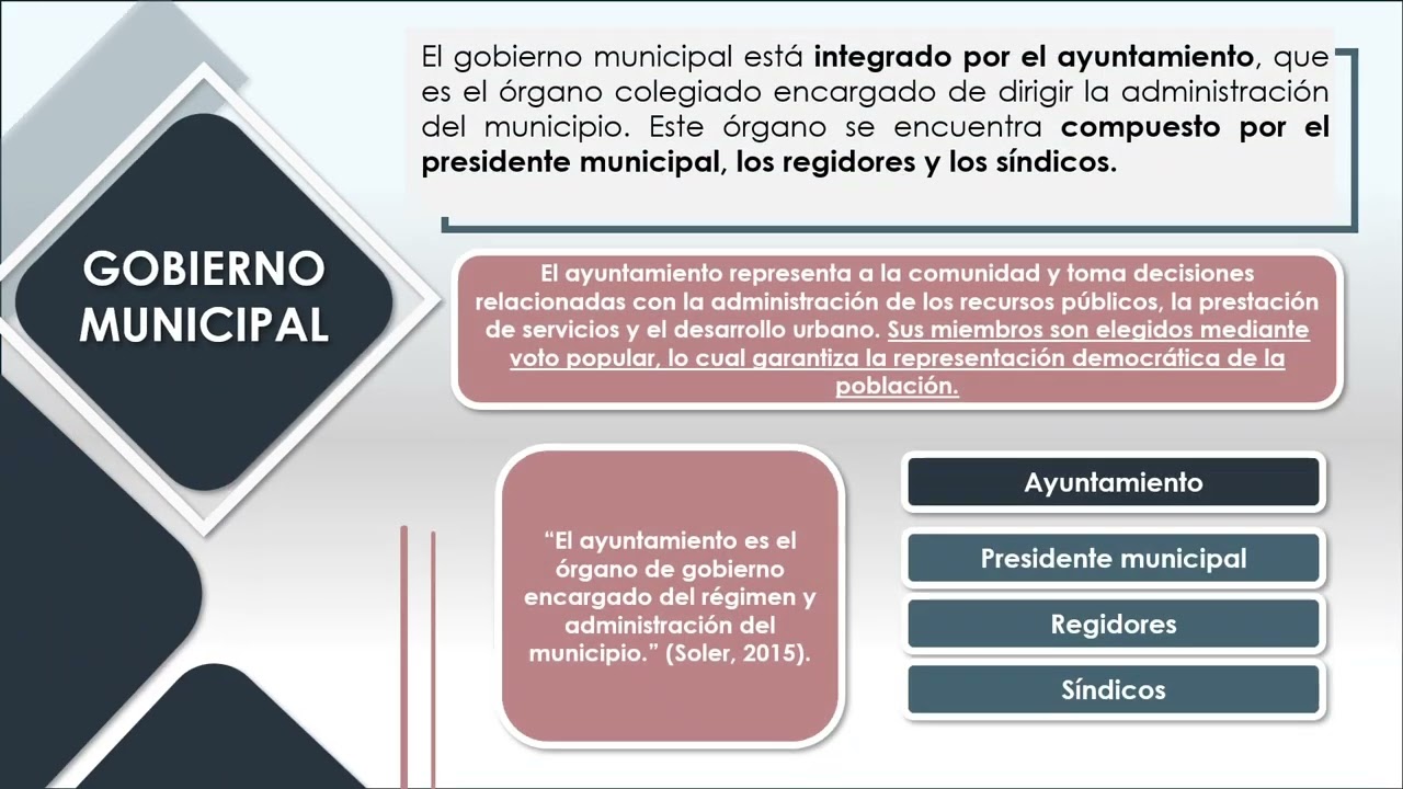6. El municipio