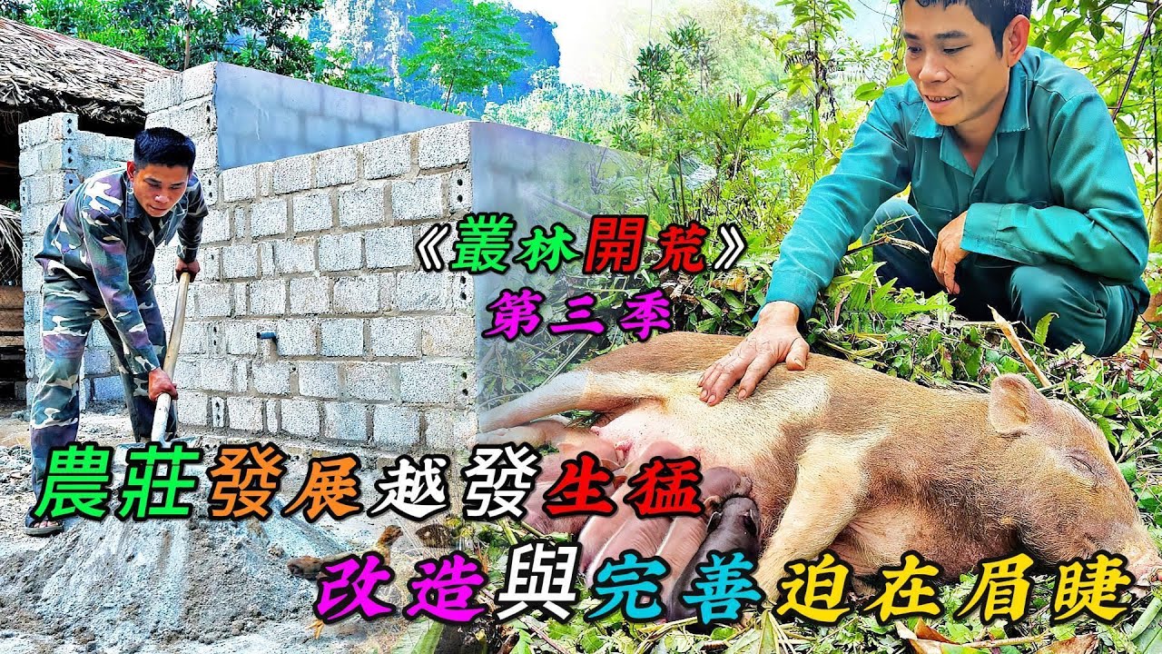 REP：一口氣看完，農莊發展越發生猛，改造與完善迫在眉睫《叢林開荒》第三季（11-13）合集