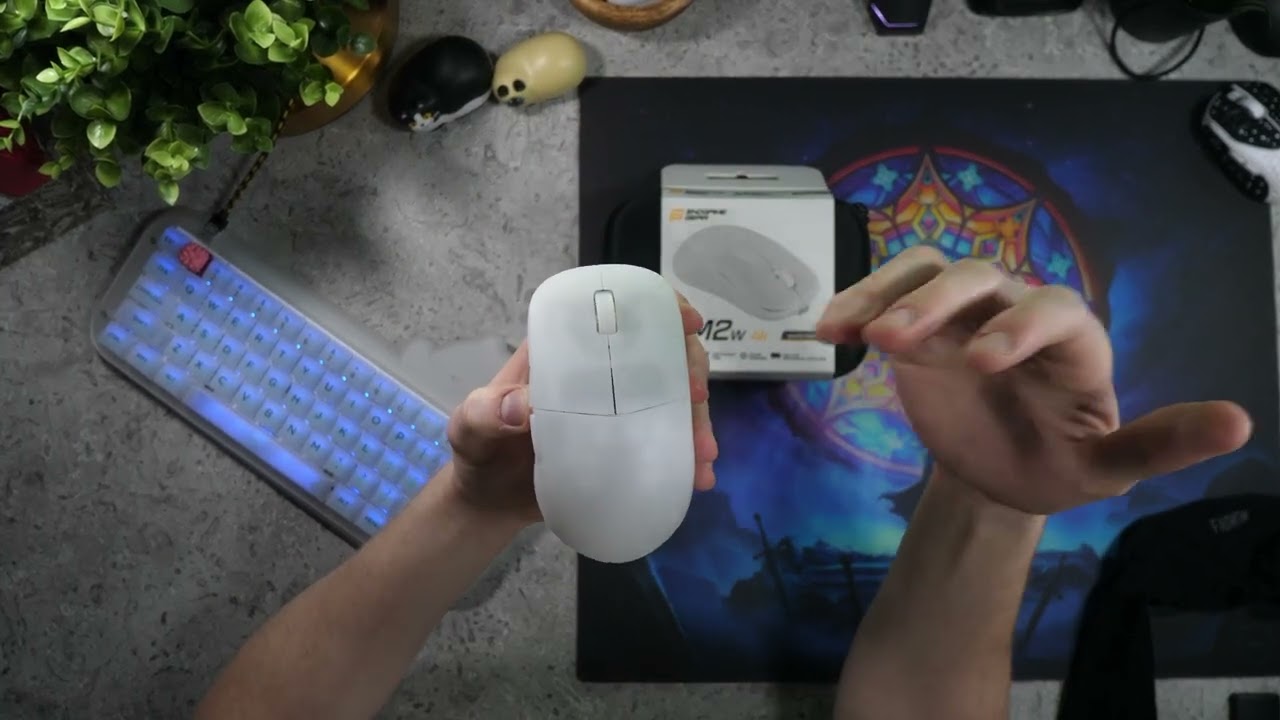 Endgame Gear XM2w 4K Review - Anders4k