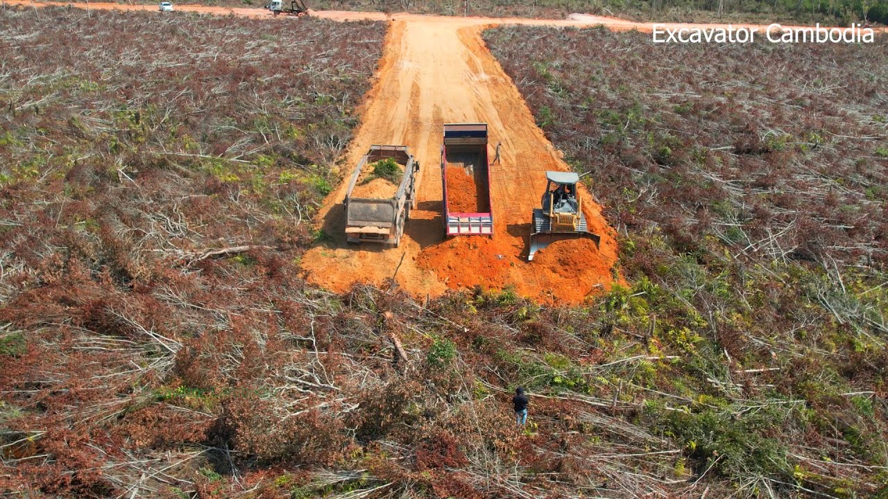 Part 2 Showing skill driver heavy Bulldozer Use Techniques building road construction - dump truck