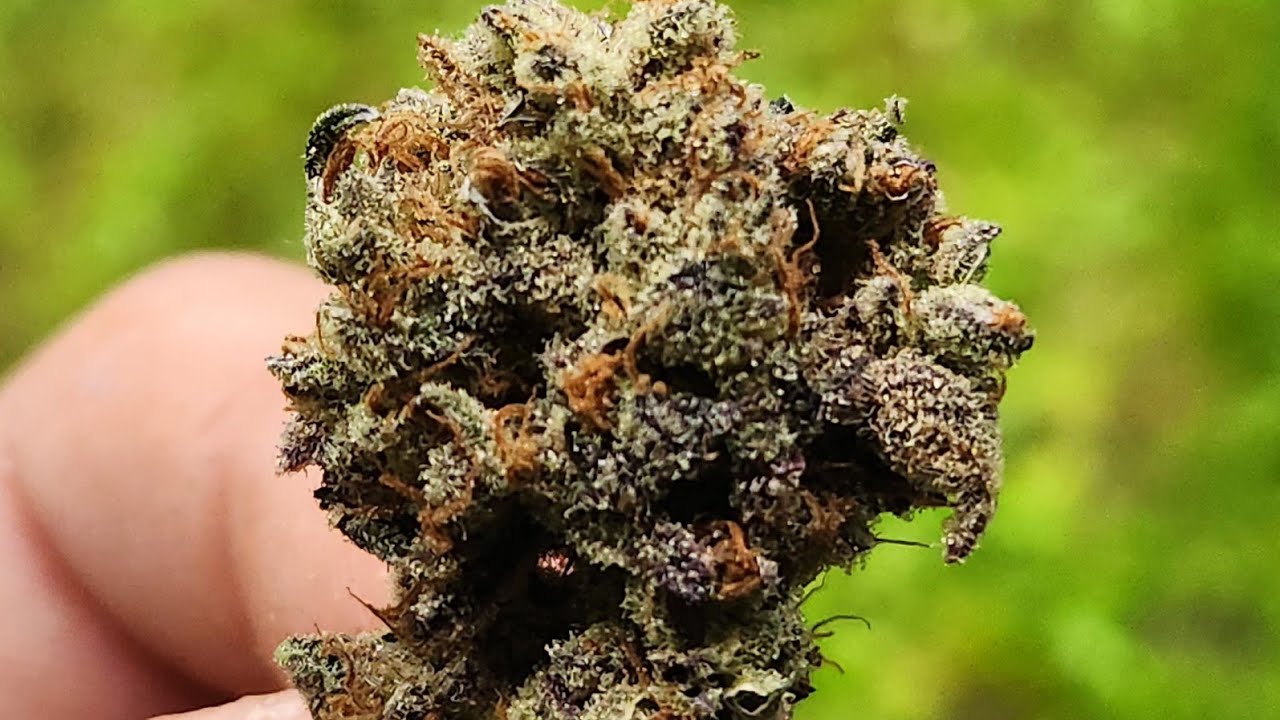  LOVE POTION : )