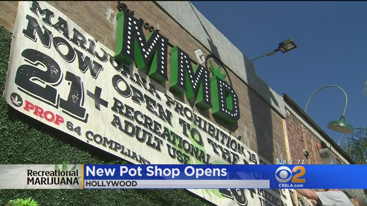 With Anticipation High, Hollywood Gets Its First, Recreational Marijuana Dispensary