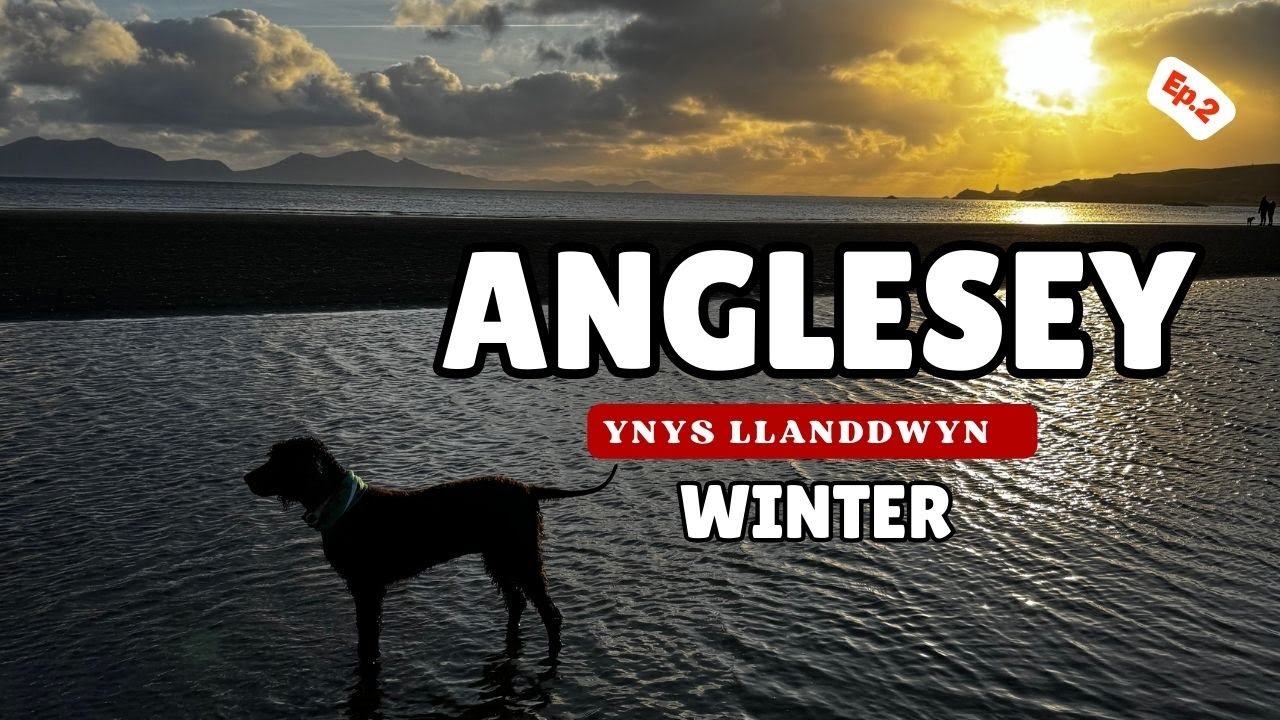 Anglesey’s Love Island at Low Tide 🌊 (Ynys Llanddwyn) | Ep.2 