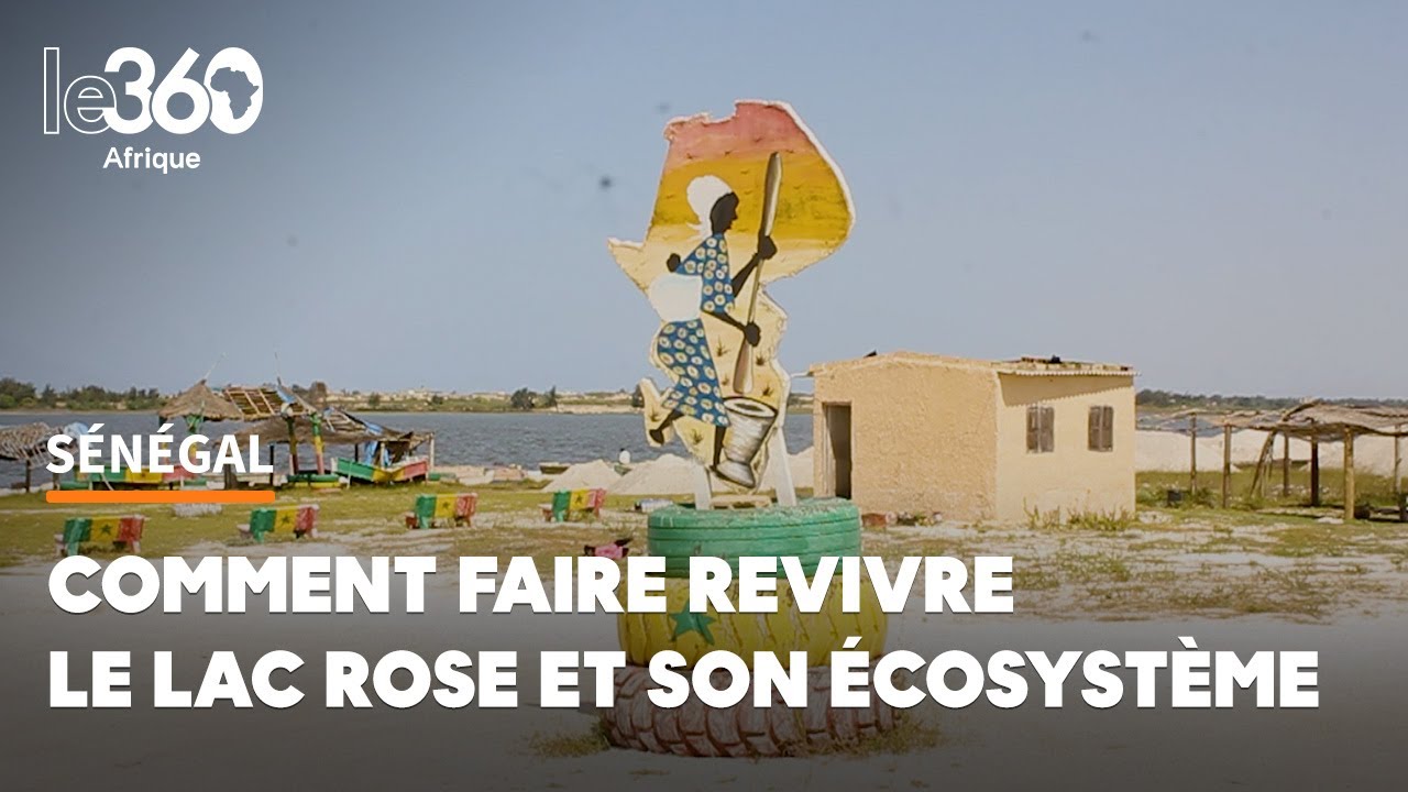 Curiosité naturelle à Dakar: la pluie ayant apporté son grain de sel, le lac Rose n’est plus rose