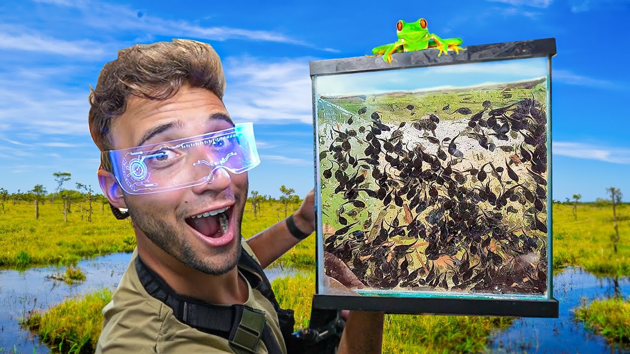 CRIANDO um EXÉRCITO de SAPOS na MINHA CASA do LAGO