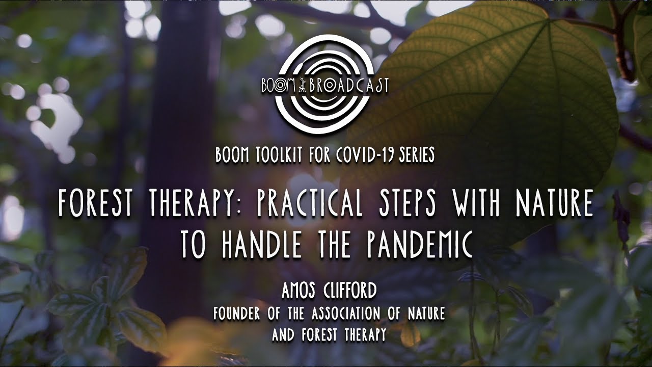 Boom Toolkit for Covid-19 #14: Forest Therapy - Practical Steps with Nature to Handle the Pandemic