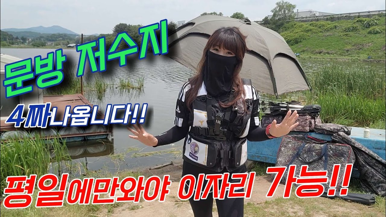 💯차대고2보!👣문방지에서 이런자리를!?!?득템하다니!!럭키🥴#충남낚시#문방지#붕어낚시#fishing#대물#저수지낚시#노지낚시