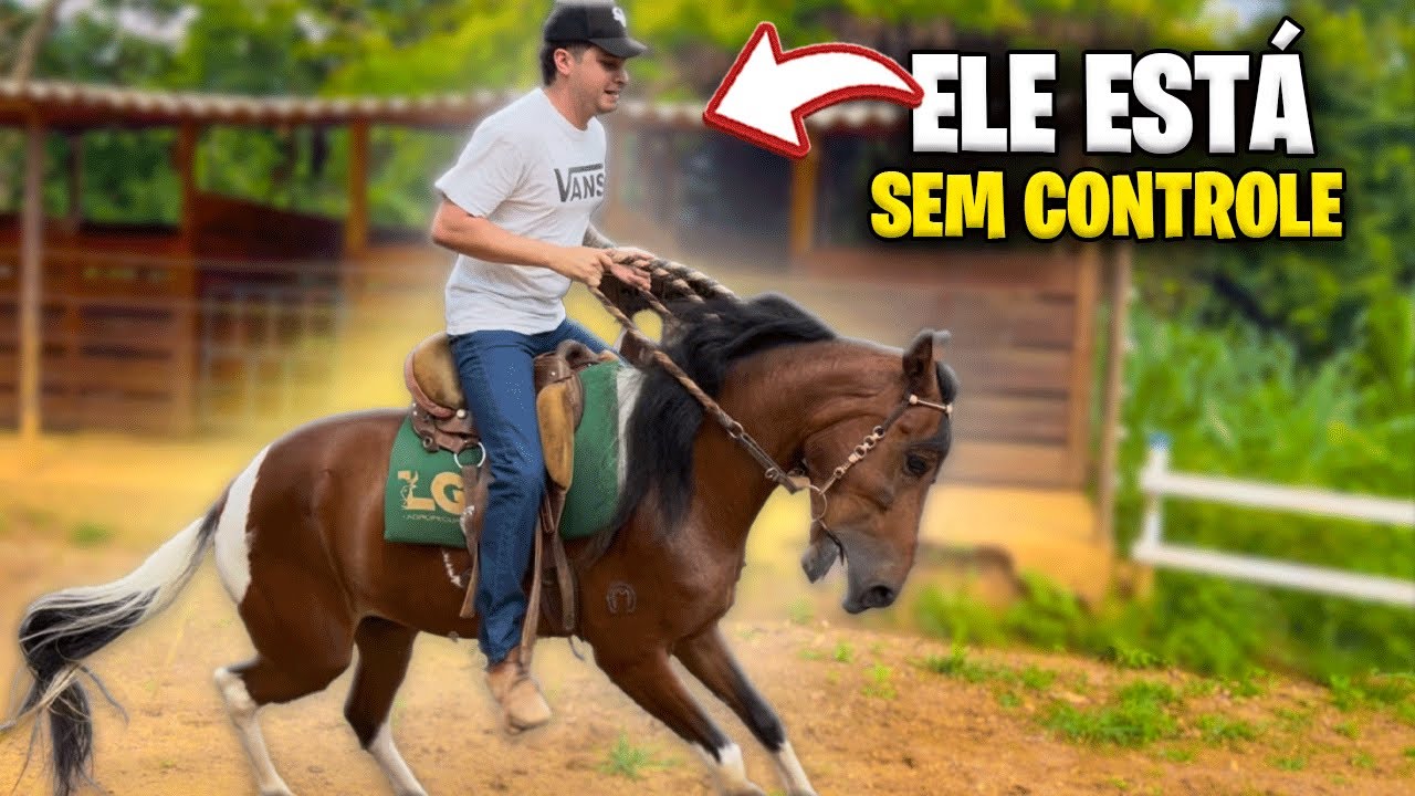 MONTEI NO CAVALO PAMPA E ELE PULOU COMIGO 