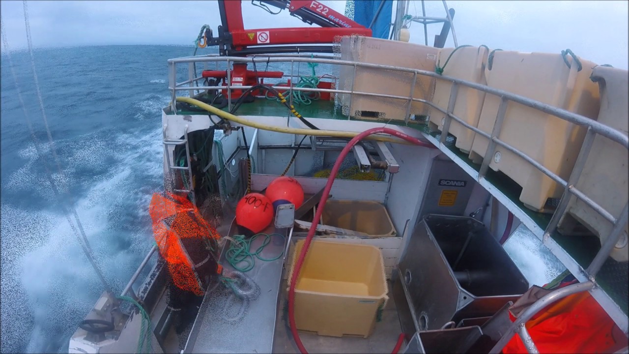 Meholm i Garnsettinga ved Henningsvær 2017