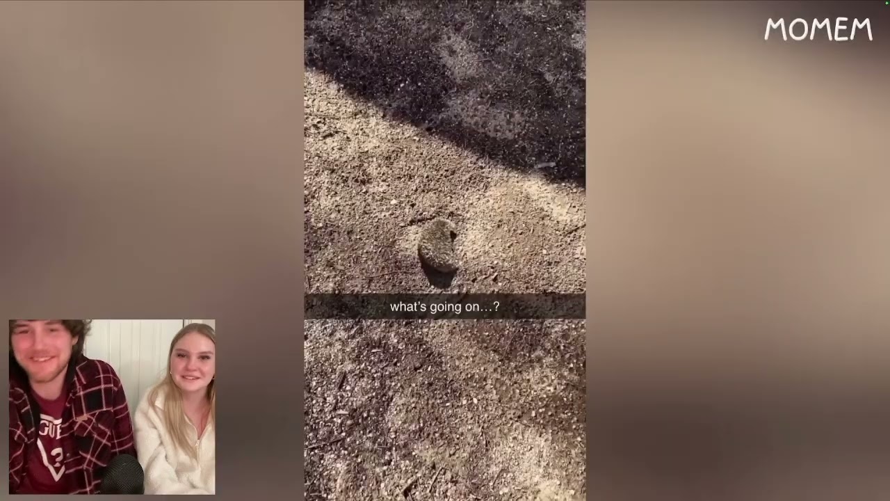 how NOT to do a try not to laugh challenge (ft. my sister)