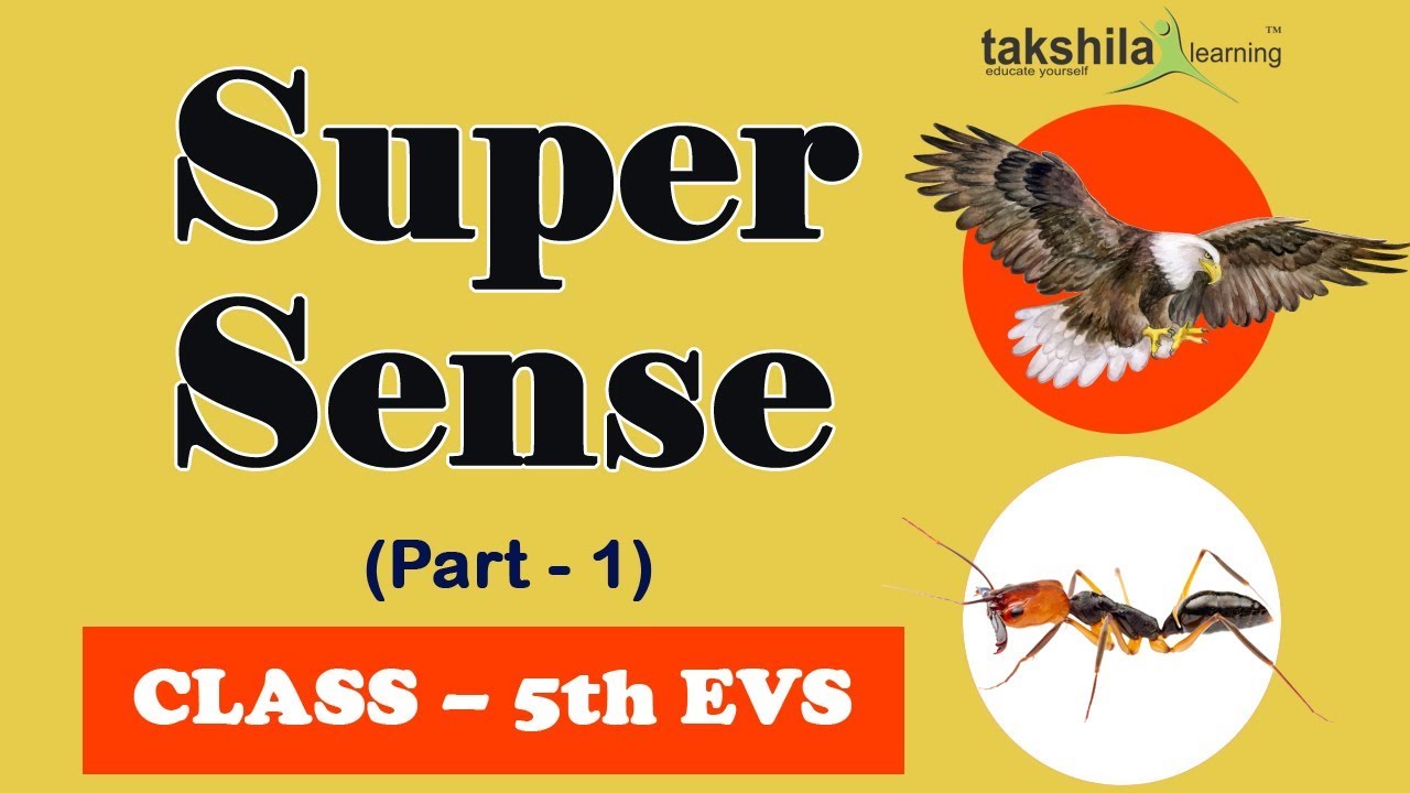 Super Sense Animated Video class 5th E.V.S by Takshila Learning