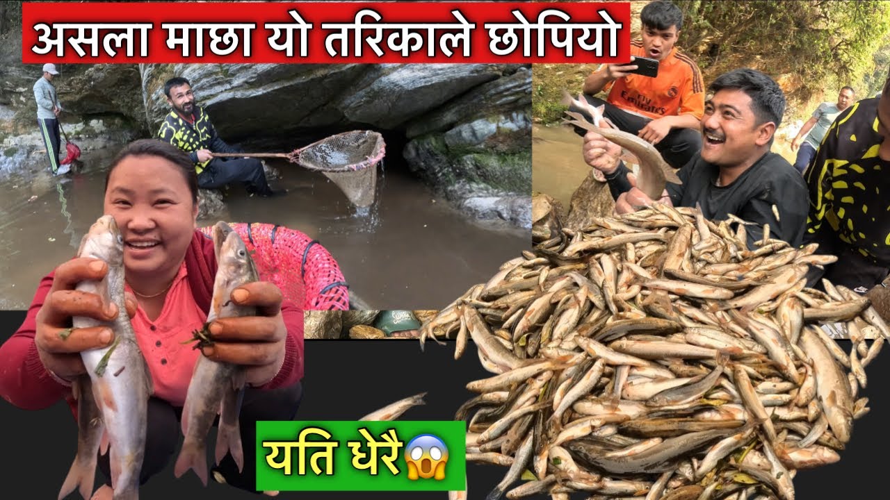 असला माछा यति धेरै देखेर मै दंग खाए😁\ असला छोप्ने तरिका\Fishing in river\Susmita Gharti\