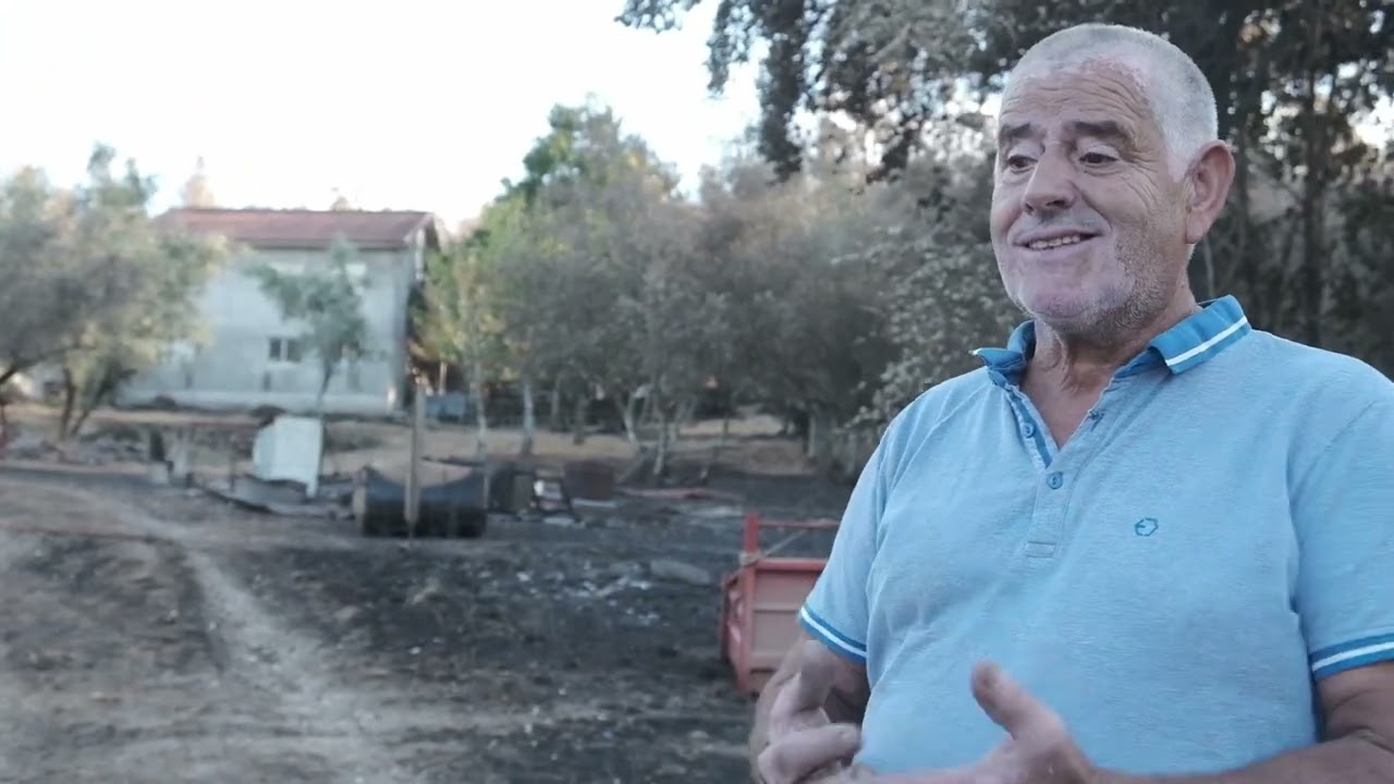 Incêndios Lousã #3 Serpins, Carvalhais