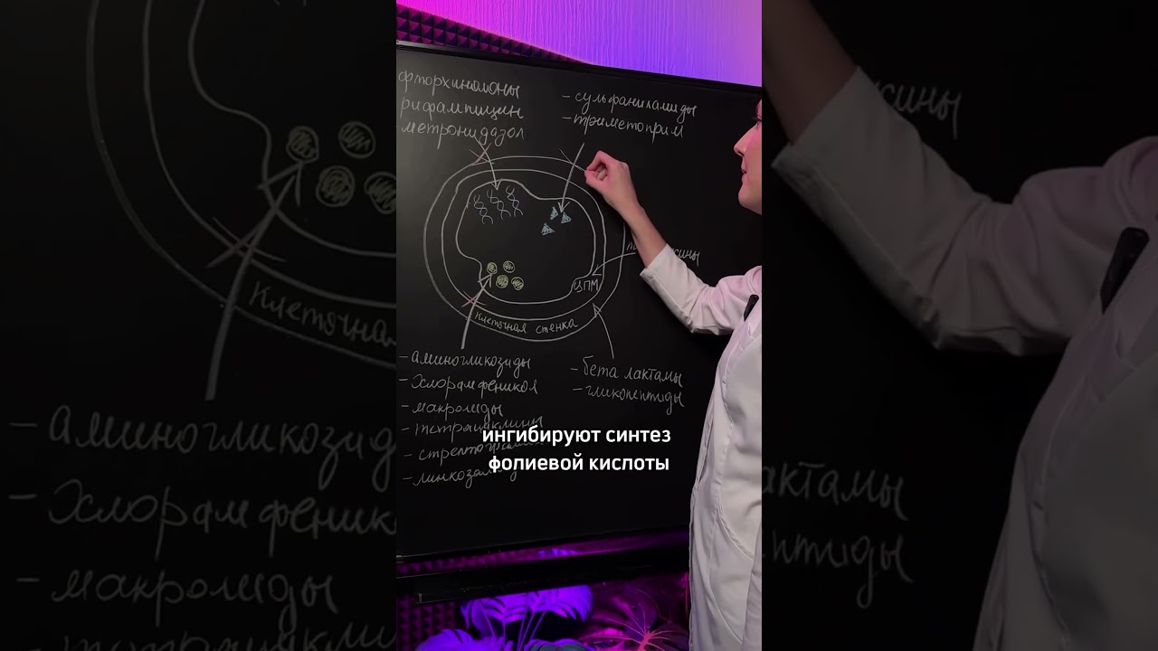 Механизмы действия антибиотиков за 30 секунд #медицинский #доктор #медик