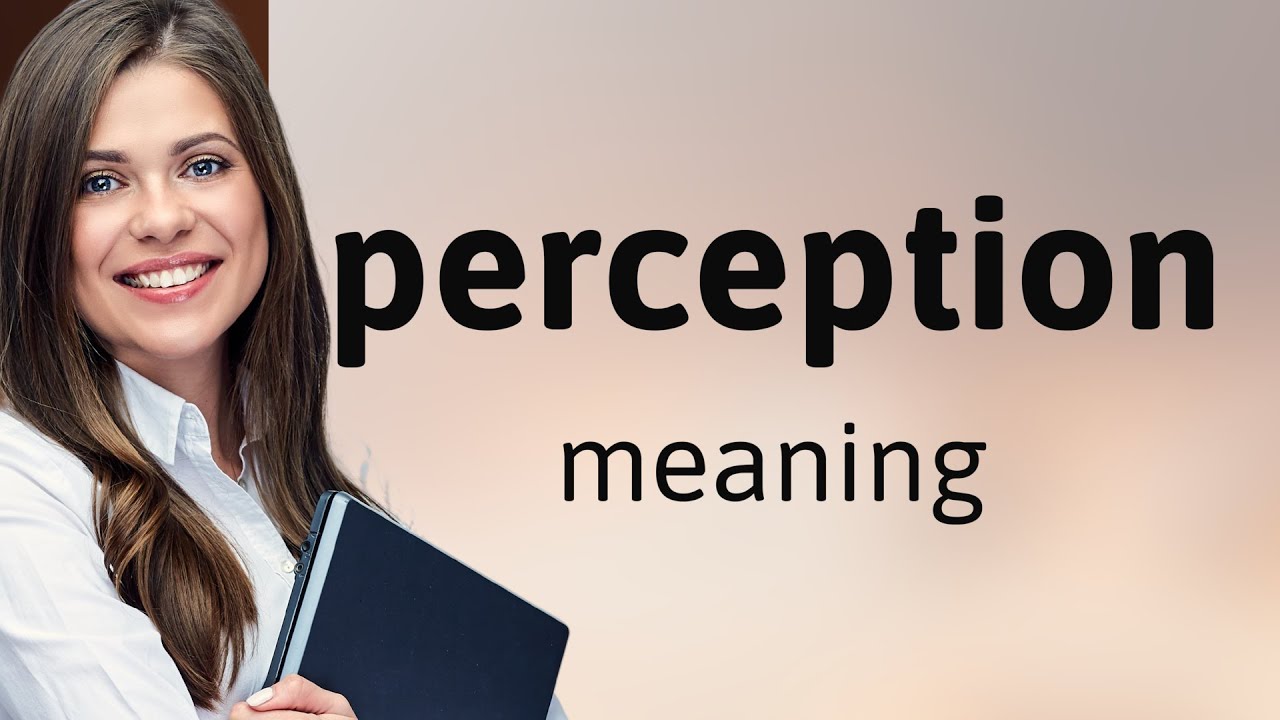 Perception &mdash; what is PERCEPTION definition