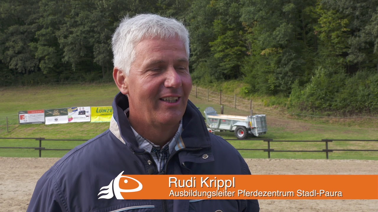 26. N&Ouml; Reitpferde-Festival in Altenmarkt-Thenneberg
