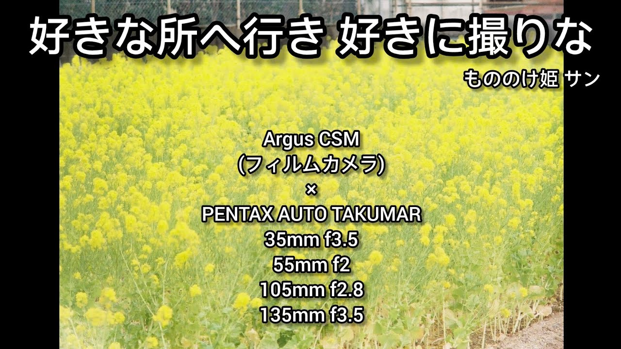 好きな所へ行き 好きに撮りな【Argus CSM(フィルムカメラ)× PENTAX Auto Takumarレンズ4本】