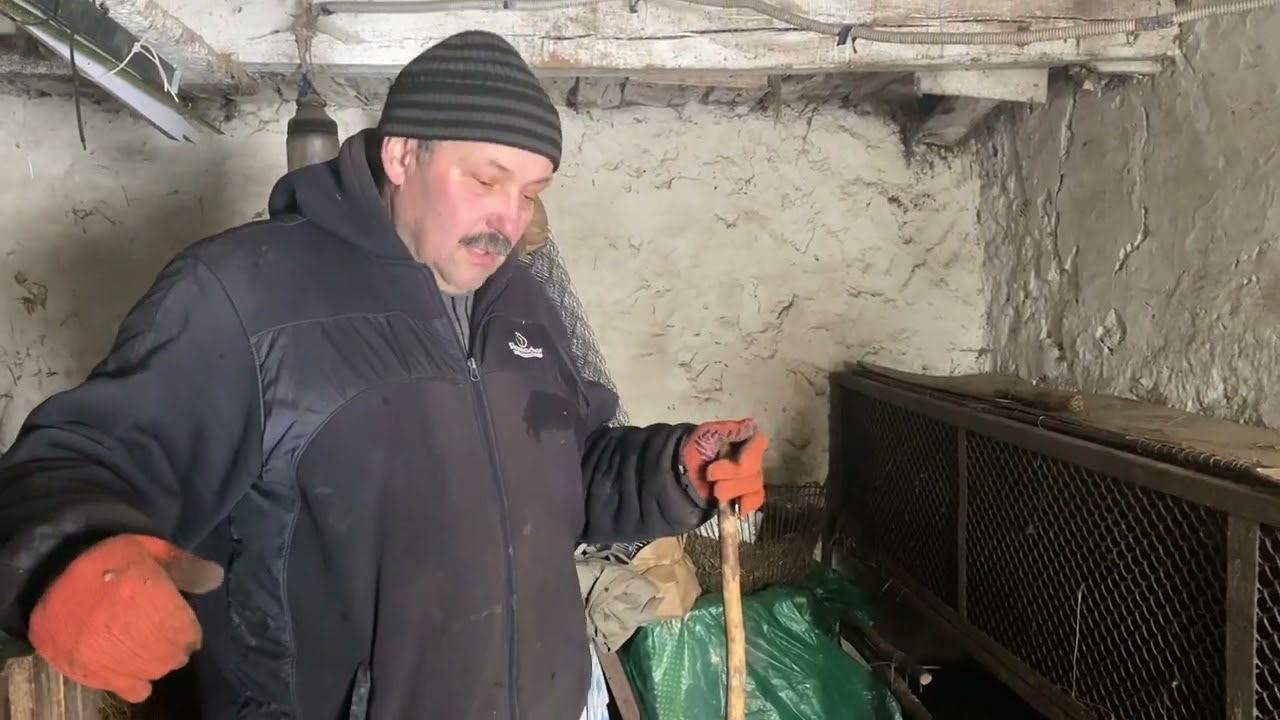 Зимовий день в селі // ПРО НАШИХ ДОМАШНІЙ УЛЮБЛЕНЦІВ...