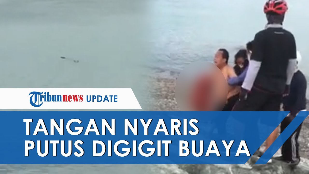 Detik-detik Buaya Gigit Pria Berendam di Pantai Talise Palu, Tangan Nyaris Putus