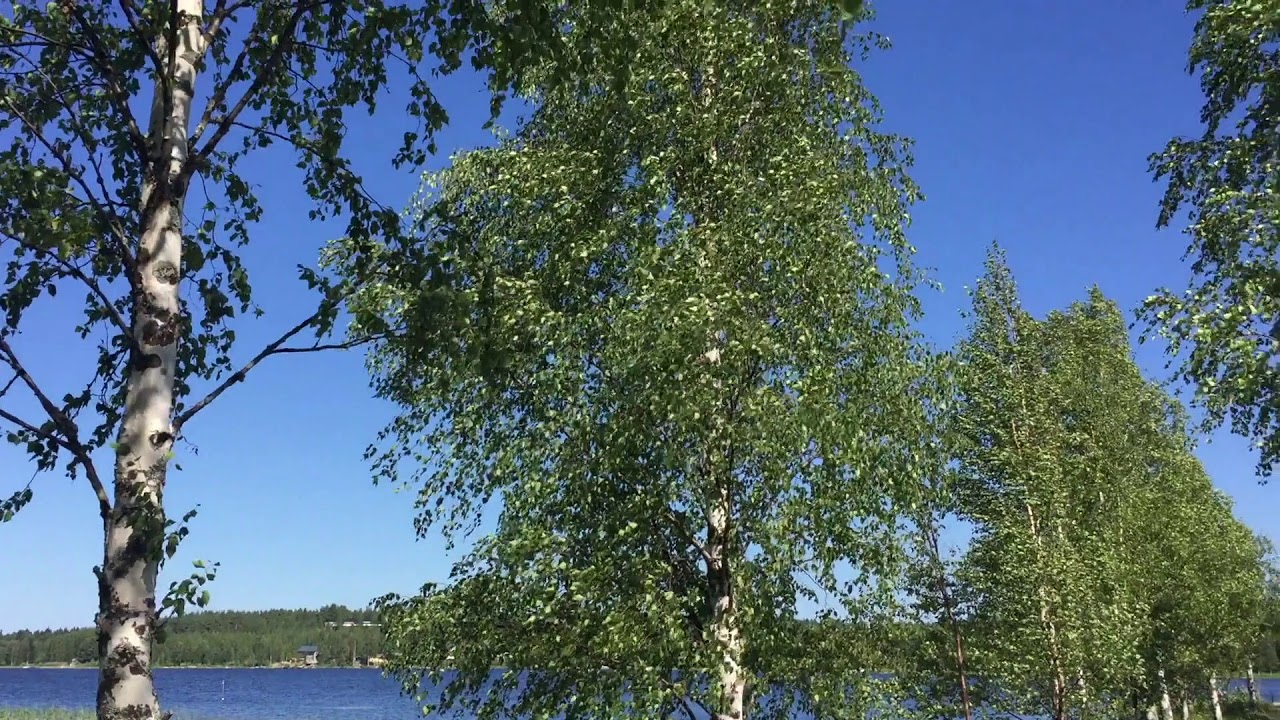 Finland Nurmes 2019 or A Summer Dream