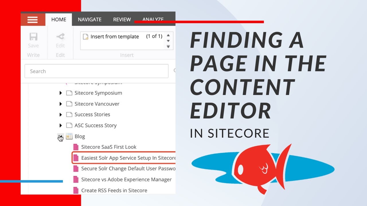 Finding A Page In The Sitecore Content Editor