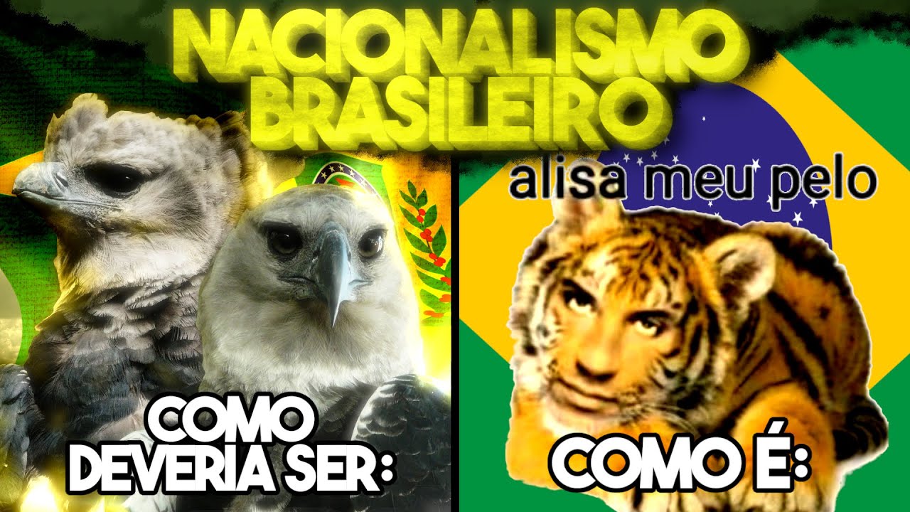 INTANKAVEL O NACIONALISMO BOSTILEIRO