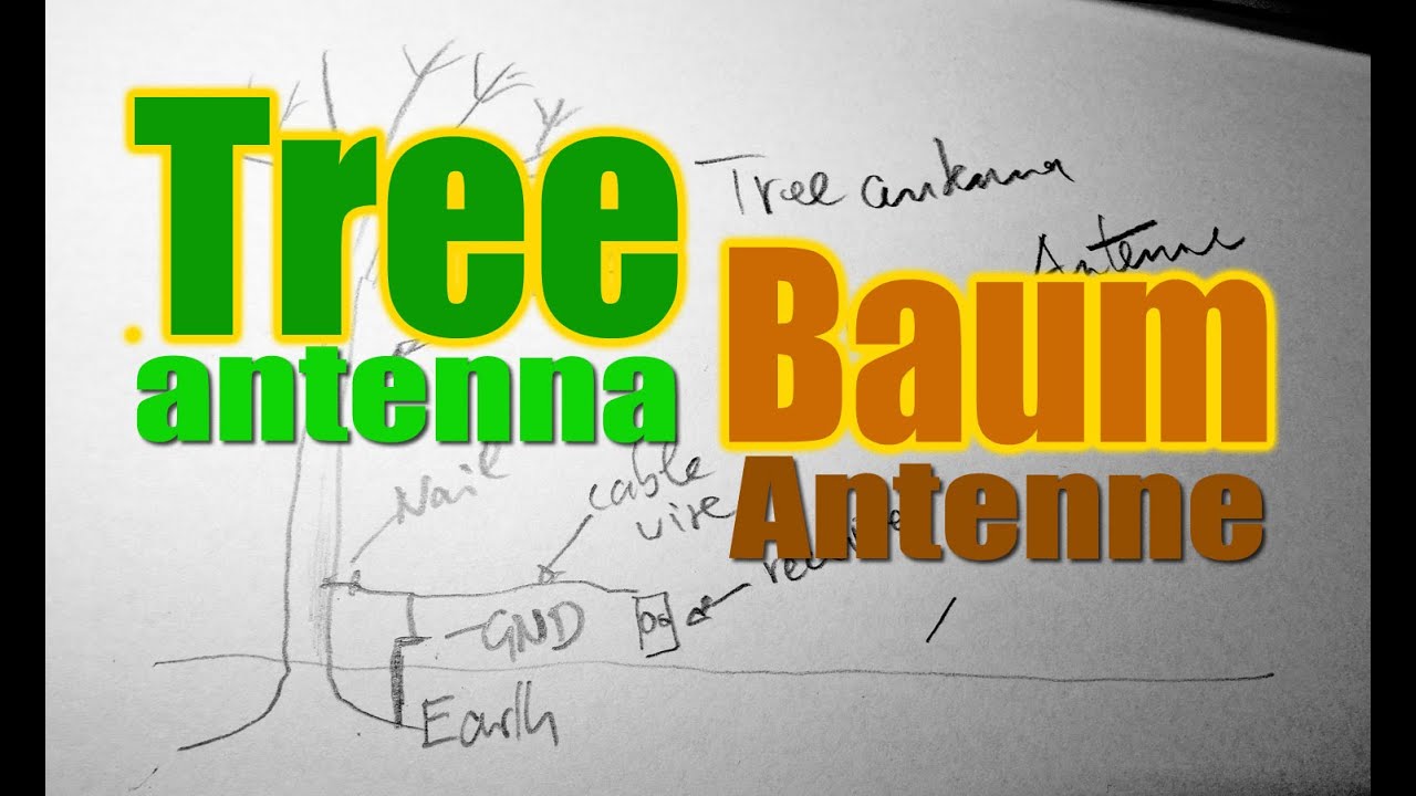 Baum-Antenne Baum als Antenne / Tree as Antenna Aerial / Arbre Arbol Antena