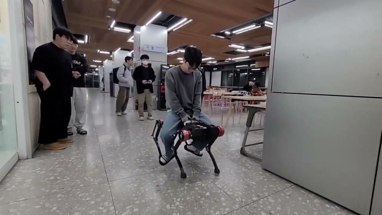 [PongBot-Q] Riding Experiment on a Quadruped Robot