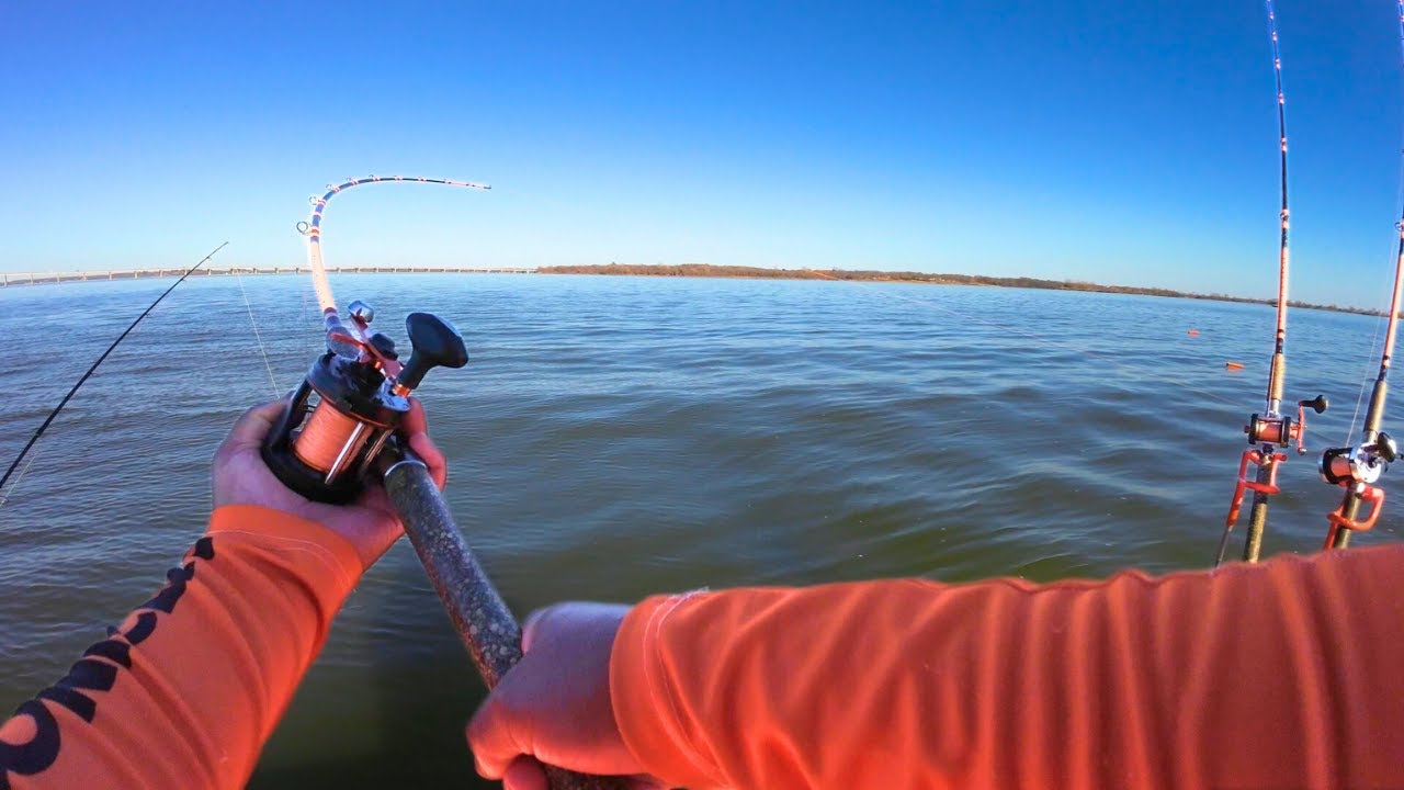 Looking for some cats in deep water!