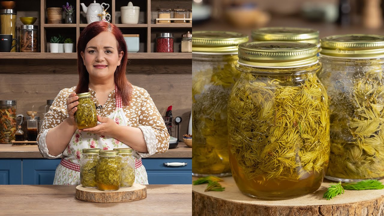 Sirop de muguri de brad fara fierbere, macerat la rece | JamilaCuisine