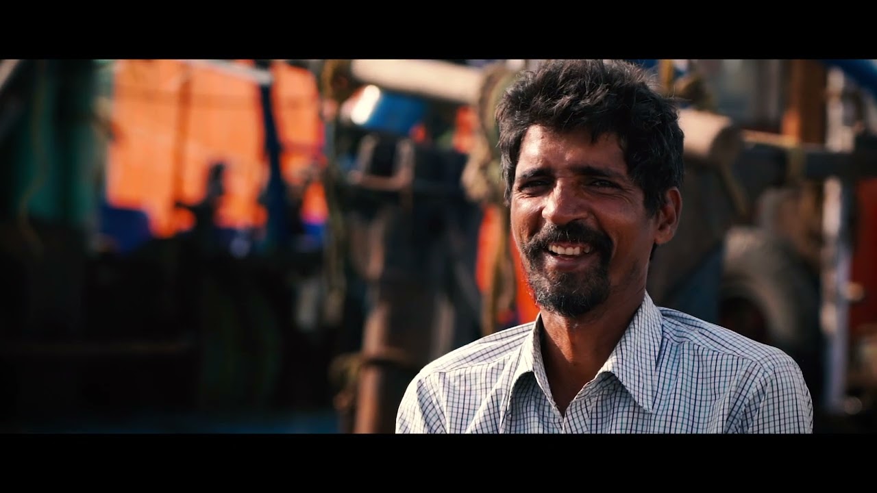 Life in Kasimedu fishing harbour-A documentary