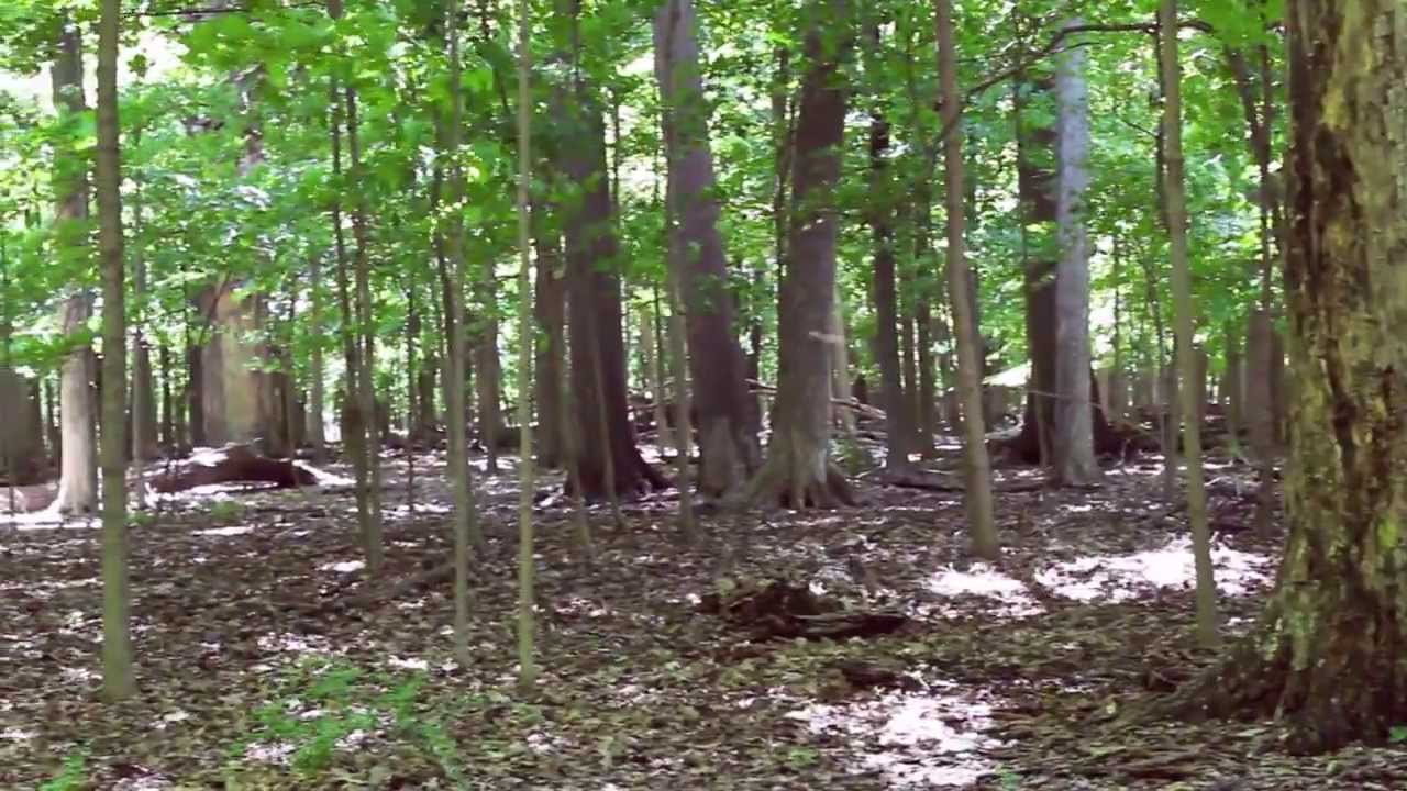 Invisibility is Coming Soon to OpticsPlanet.com