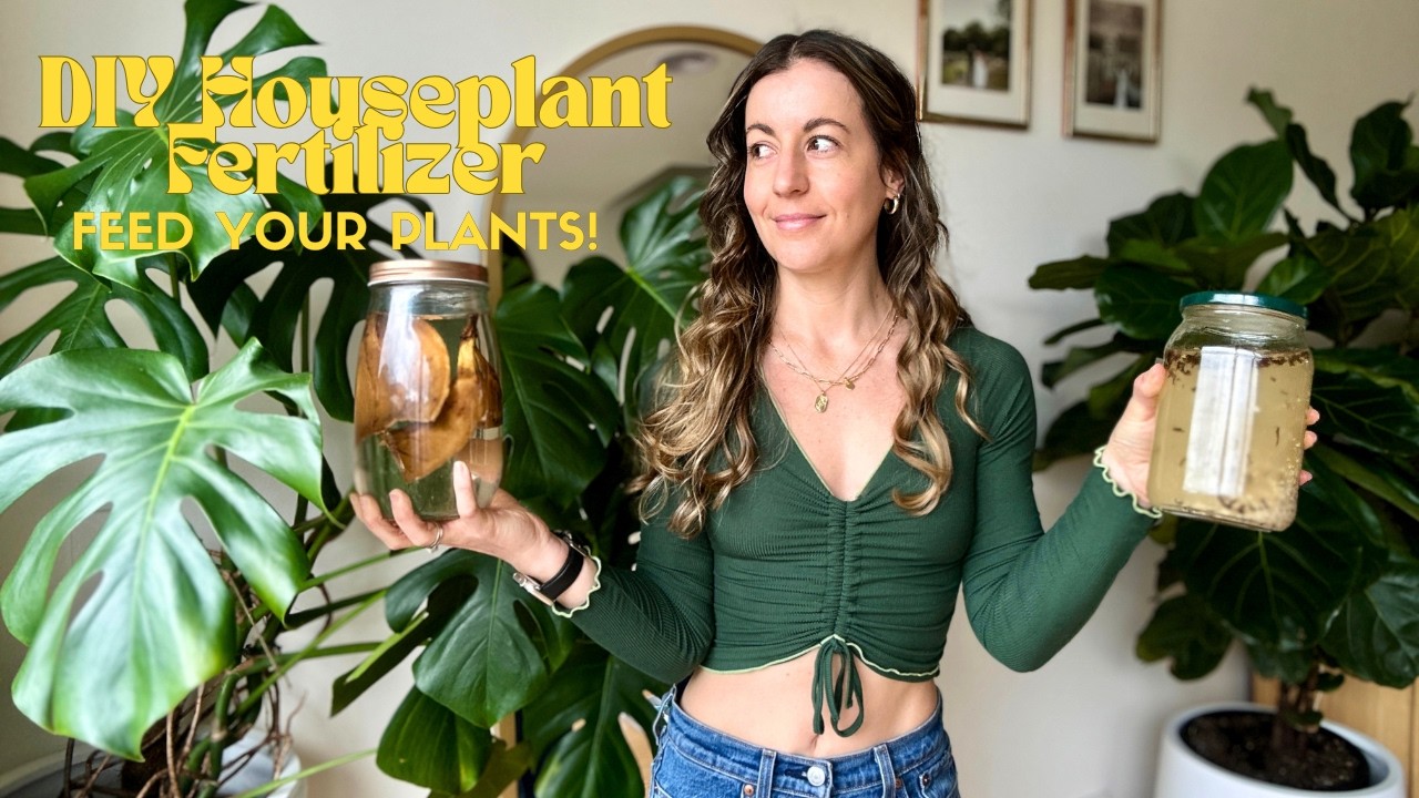 DIY Indoor Houseplant Fertilizer | How to Make Plant Food at Home #PlantFood #GreenThumb #PlantVideo