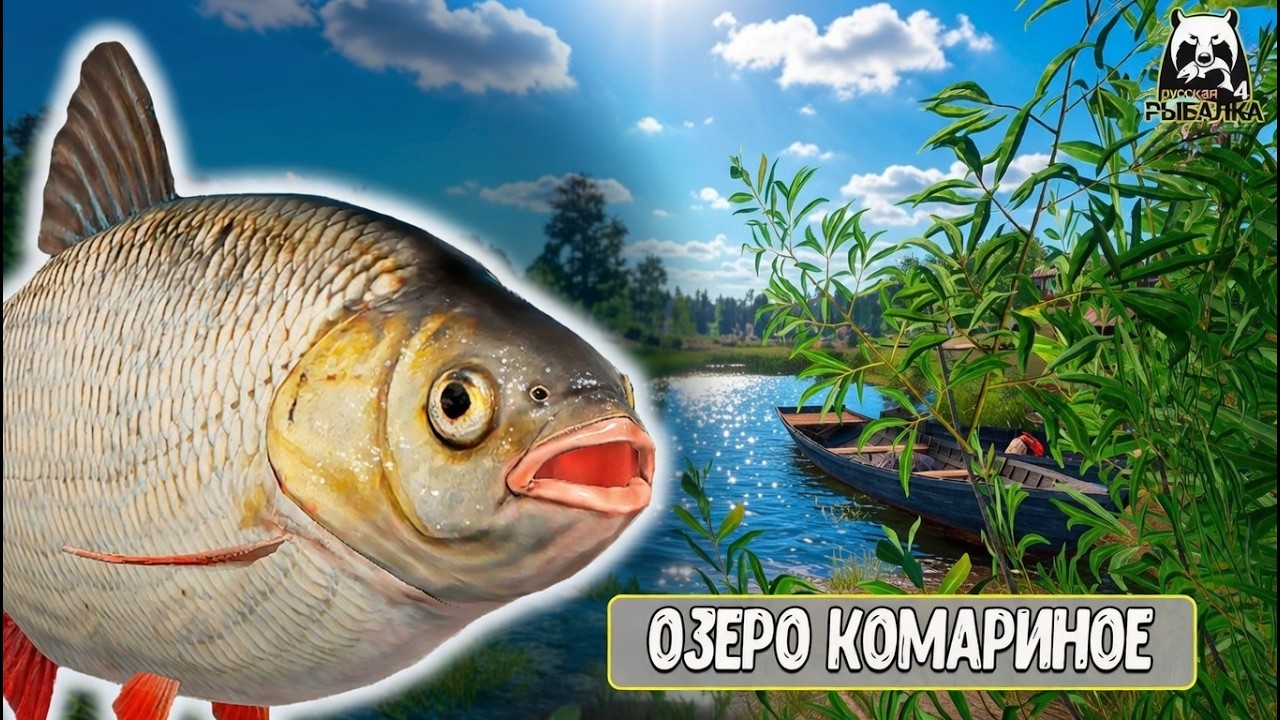 RF4 Успей пока ловится выловить их #рр4