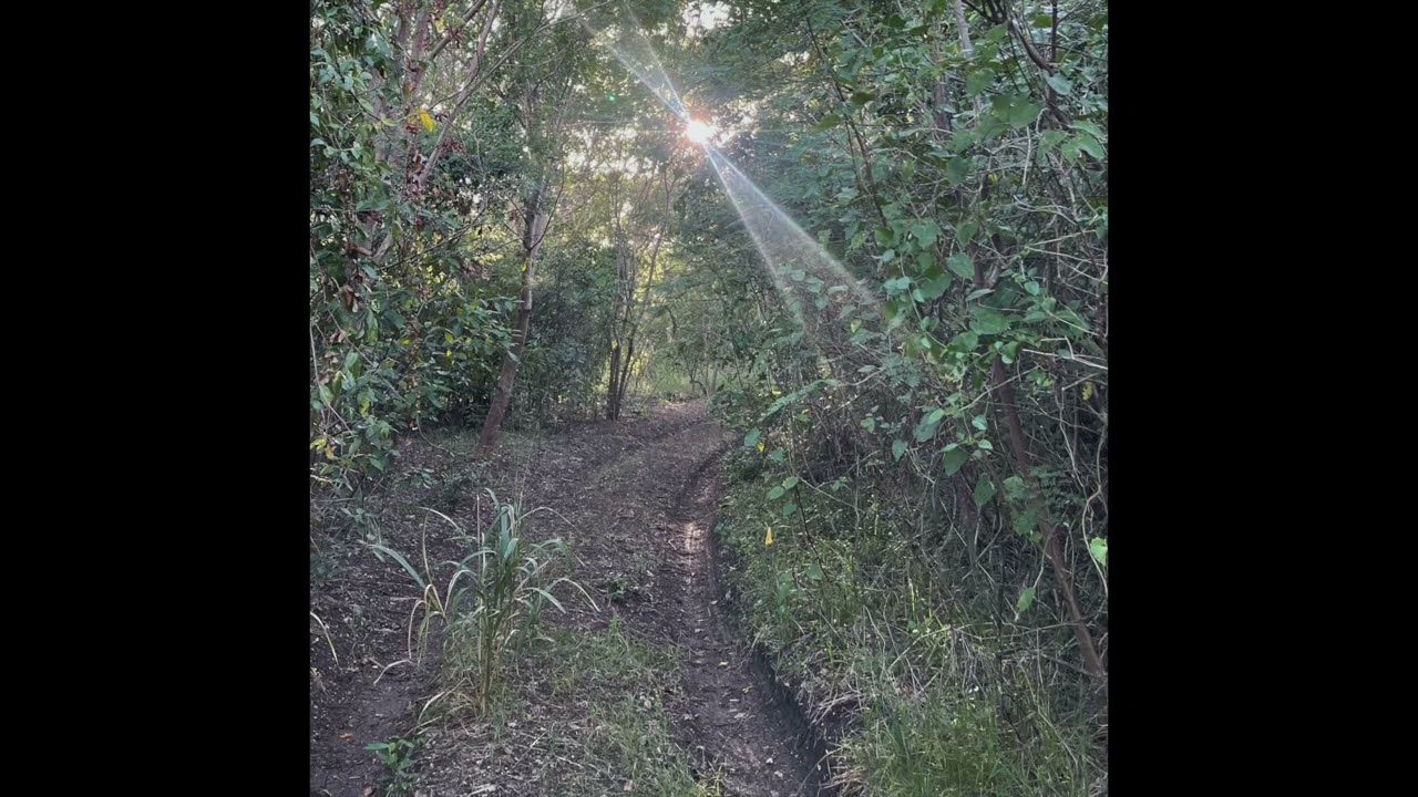 Gentle Resolve - Solo Guitar