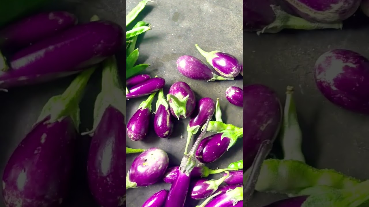 #harvested