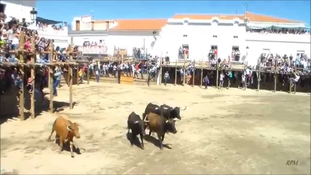 Segura de León. Capeas 2015(Nono)