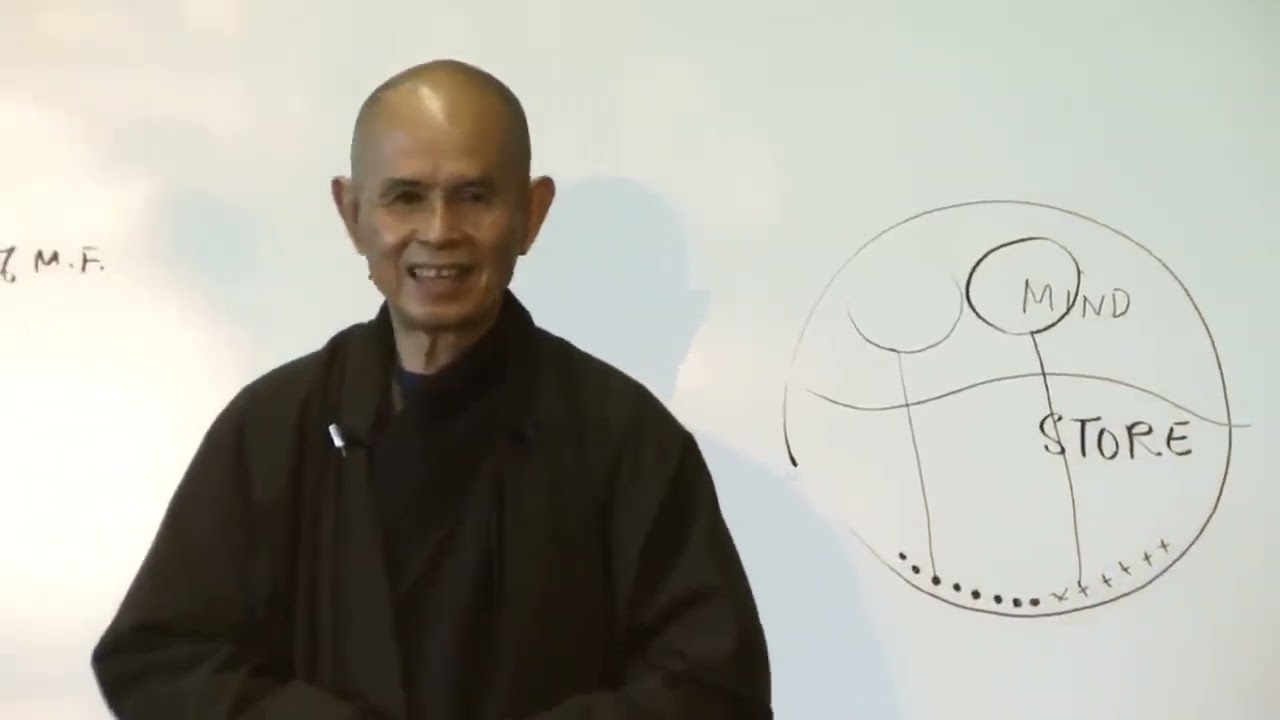 十六項正念呼吸練習丨一行禪師 2013.08.13