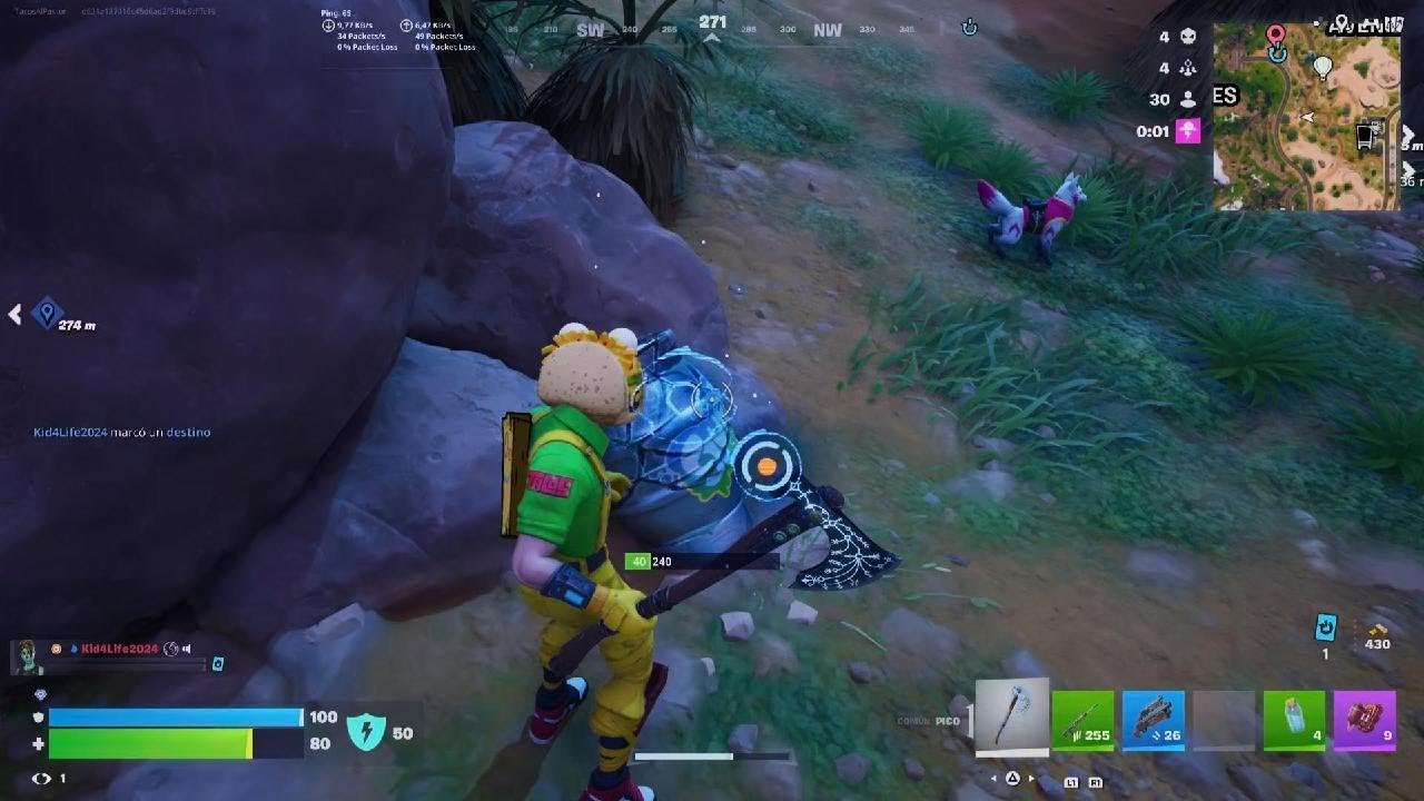 Fortnite rank
