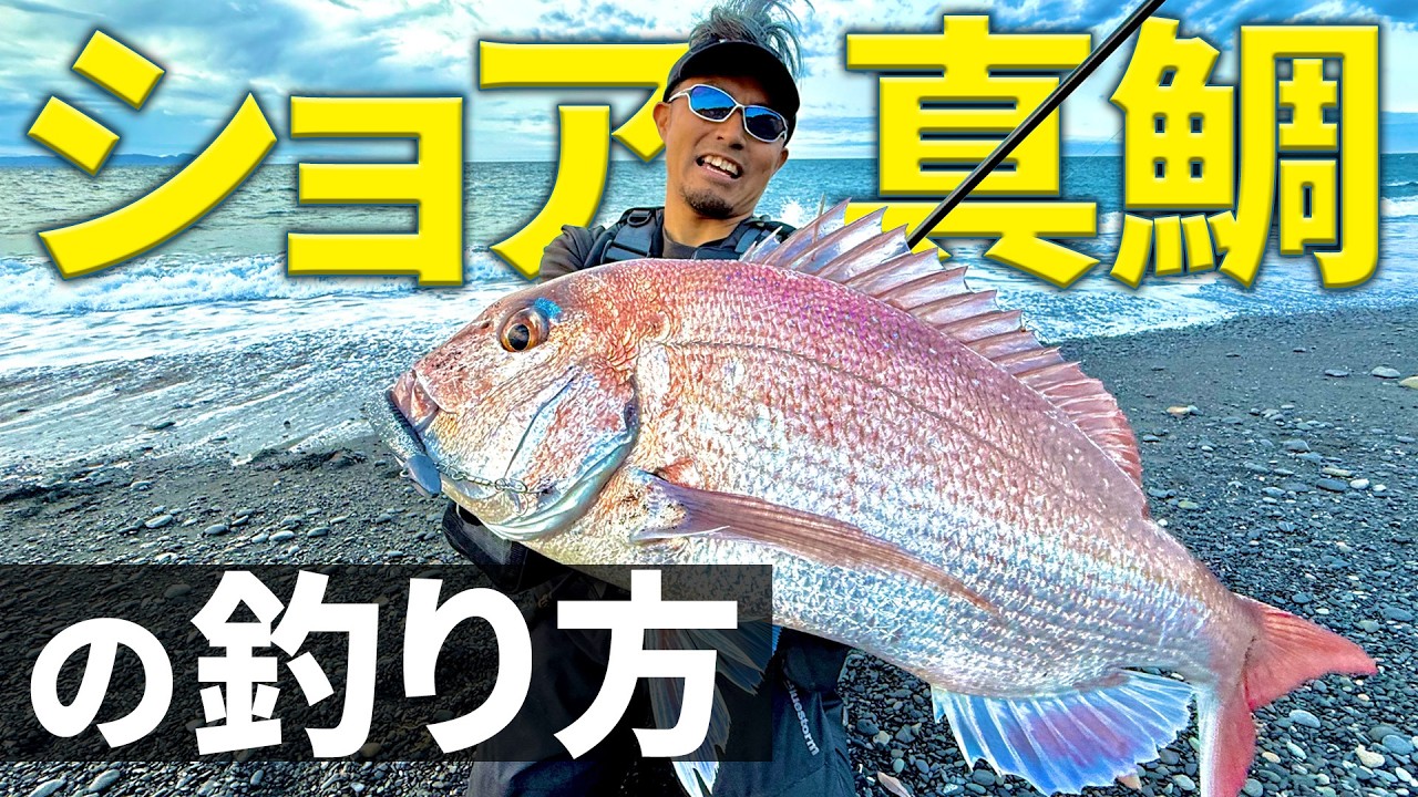 【静岡サーフ】ベイトが大量に岸へ近づくと、100％の確率で接岸しているショアレッド再び・・・