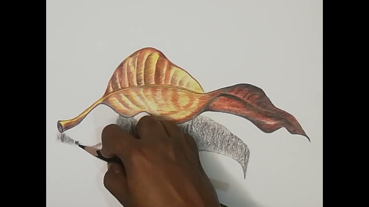Leaf