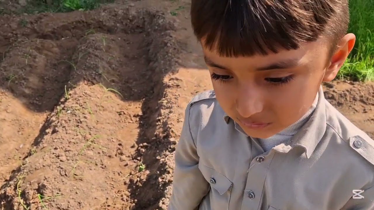 Gardening payaz ki paneeri