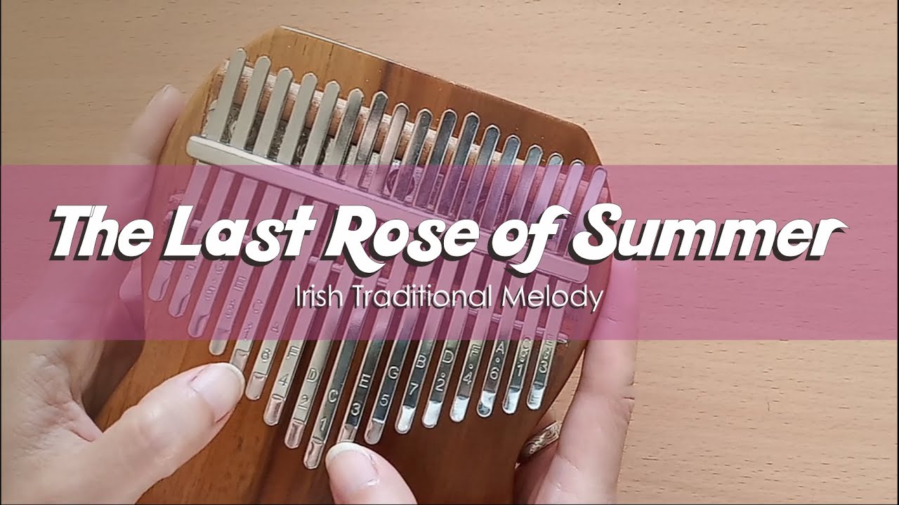 The Last Rose of Summer (Irish Traditional Melody) | Kalimba Cover With Number & Letter Notations