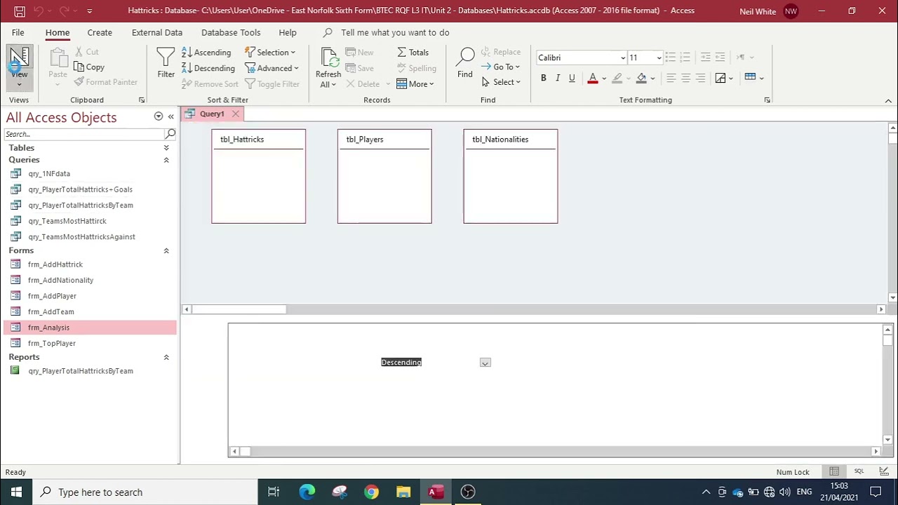 IIF statement in a Query