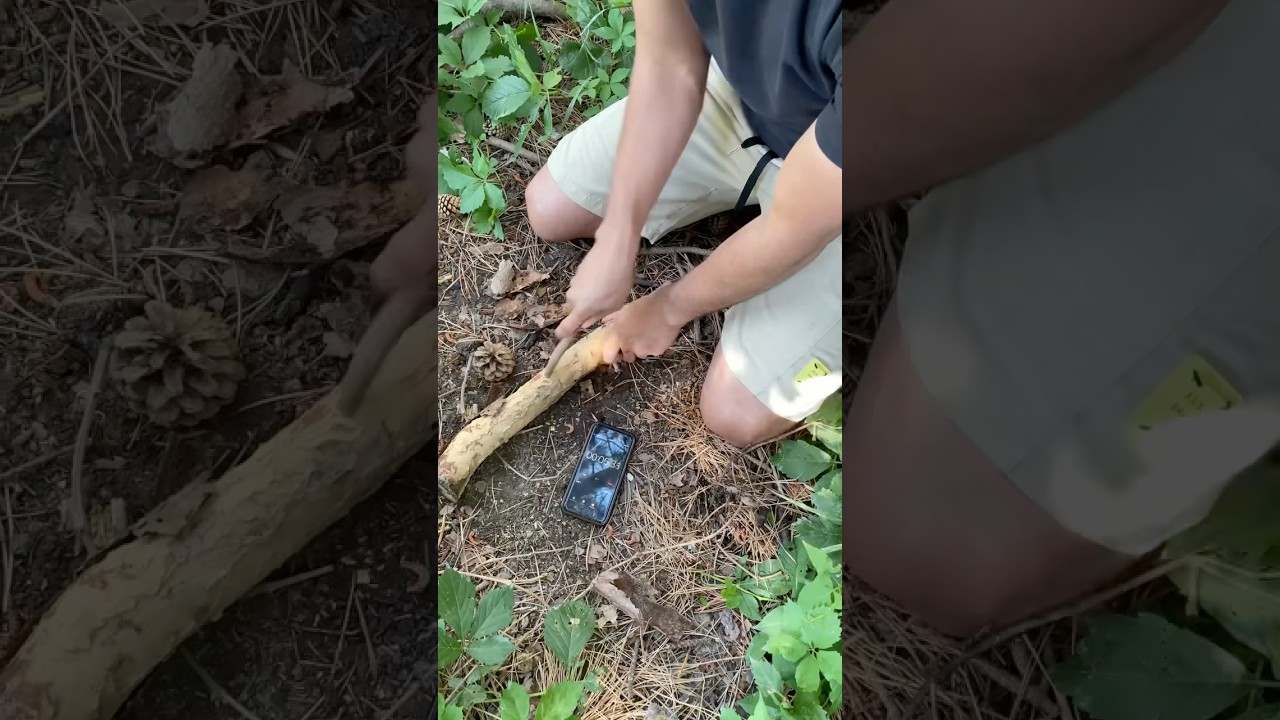 How to start a fire by rubbing sticks together 🔥 Watch until the end. #frictionfire