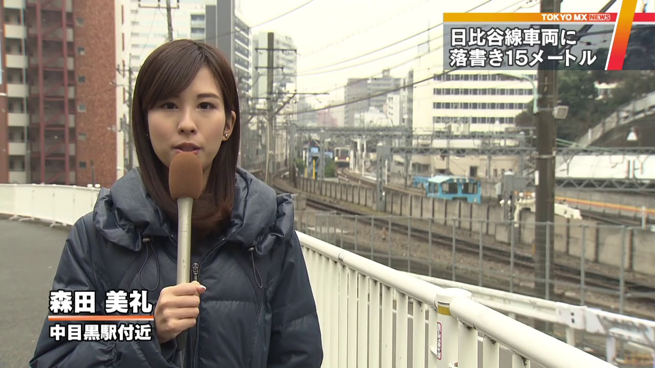 東京メトロ日比谷線が落書き被害　幅15メートルにわたり