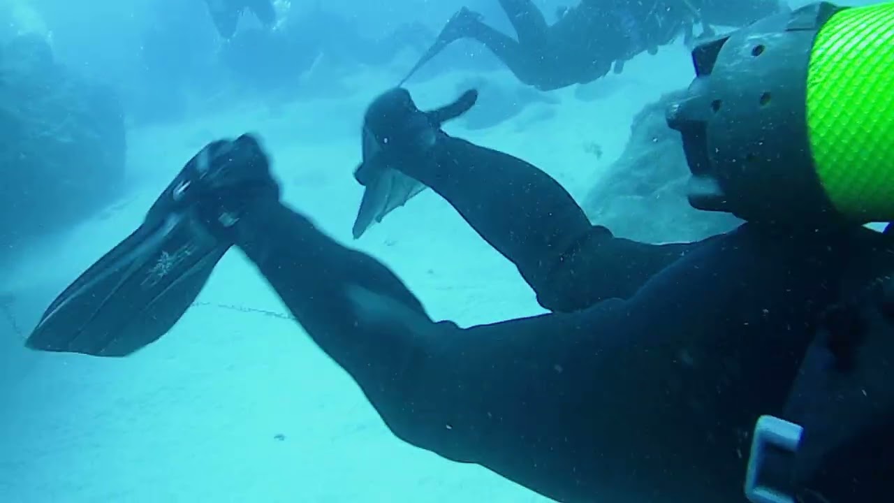 Close Encounter with an Angel Shark - Punta Berrugo - Playa Blanca - Lanzarote - 20th Feb 2026