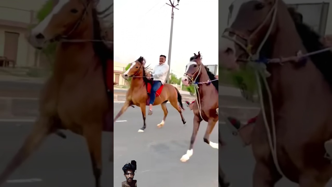 Gora race gora  Gora Sawari #Gora race